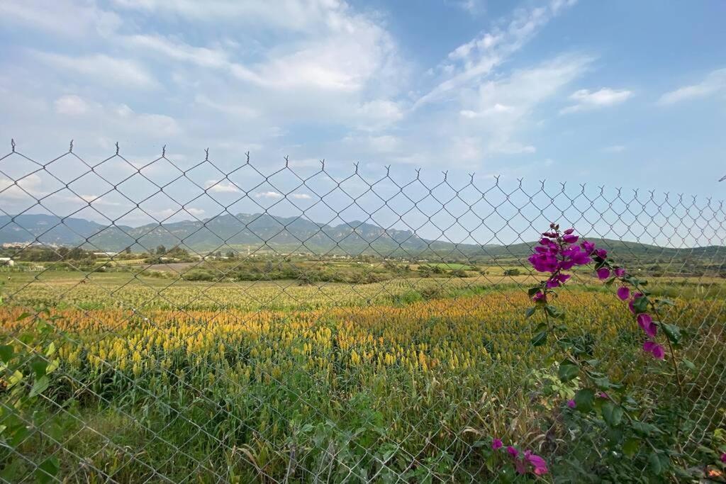 Kali-Mali Casa De Campo Eco-Friendly Malinalco Villa Ngoại thất bức ảnh